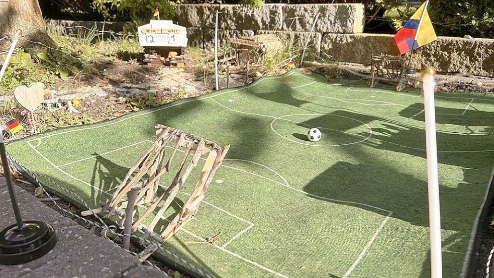 Der Fußball liegt zum Anstoß bereit: Wibo ist offenbar großer Fußball-Fan. Foto: Stephanie Tomé