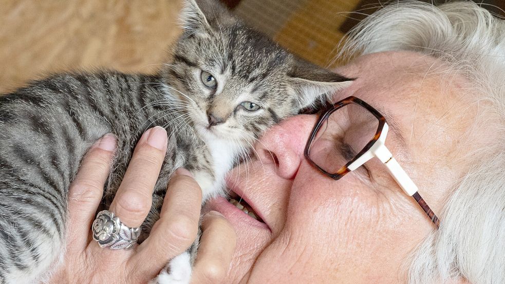 Marion Niebergall ist seit 2018 Vorsitzende der Tierhilfe Ostfriesland. Der Verein versorgt jedes Jahr teils mehr als 50 Kitten von verwilderten Hauskatzen. Fotos: Klaus Ortgies