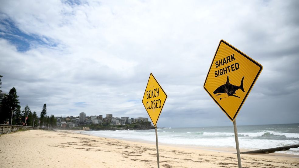 In den vergangenen Tagen wurden immer wieder Haie gesichtet - auch vor dem berühmten Bondi Beach. (Symbolbild) Foto: Bianca De Marchi