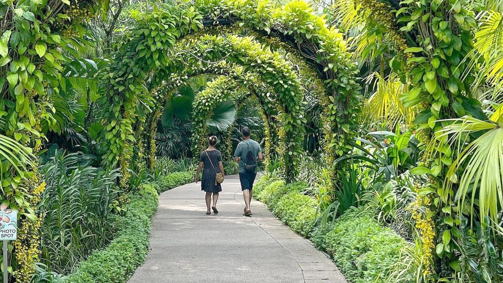 Singapur gilt als eine der grünsten Metropolen der Welt. (Archivbild) Foto: Carola Frentzen/dpa