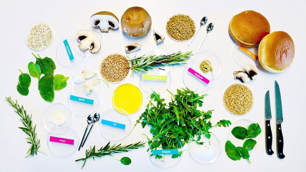 Von KI entworfene Zutaten für einen nachhaltigen und dabei leckeren Burger: unter anderem Zucht-Champignons, Rucola, Rosmarin, Körner und Gewürze. Foto: Living Matter Lab / EurekAlert/d