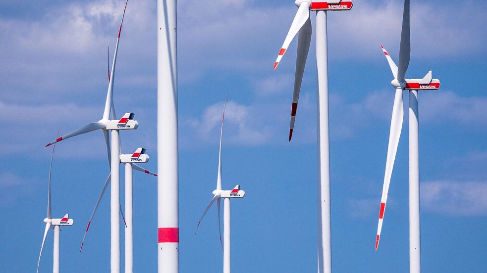 Erneuerbare Energien haben im ersten Halbjahr 58 Prozent des Stromverbrauchs gedeckt - ein Rekord. (Symbolbild) Foto: Jens Büttner