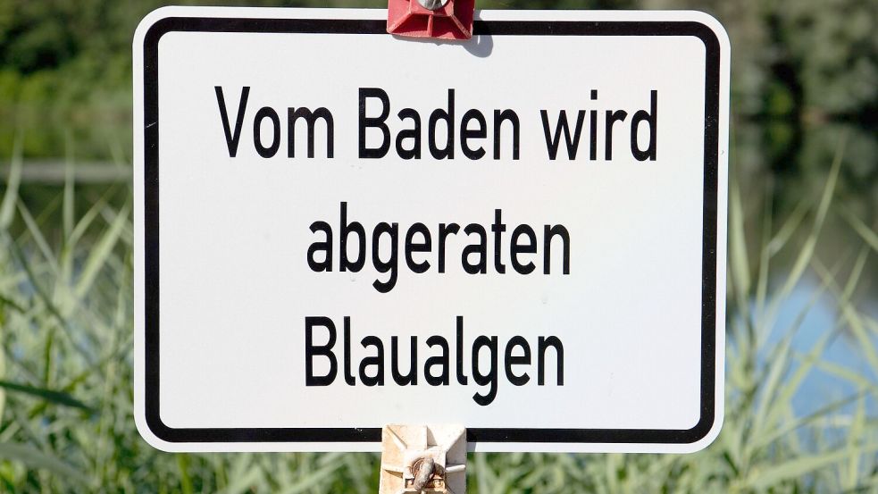 Höhere Temperaturen begünstigen Cyanobakterien. (Archivbild) Foto: Julian Stratenschulte/dpa