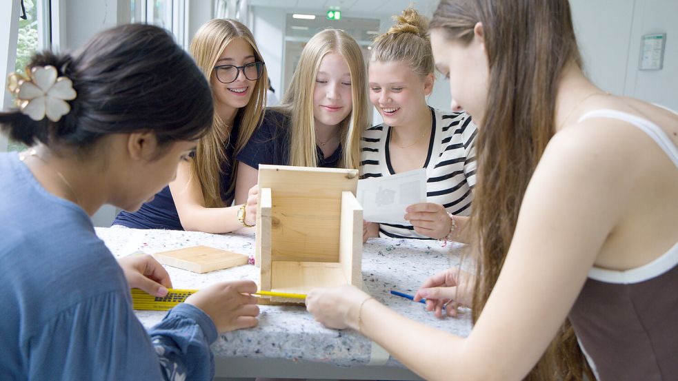 Mehr als 1000 Schüler und Lehrkräfte verwandelten das Gymnasium „In der Wüste“ (GidW) vor den Sommerferien in eine riesige Werkstatt. Foto: Hendrik Langebrake / Gymnasium „In der Wüste“