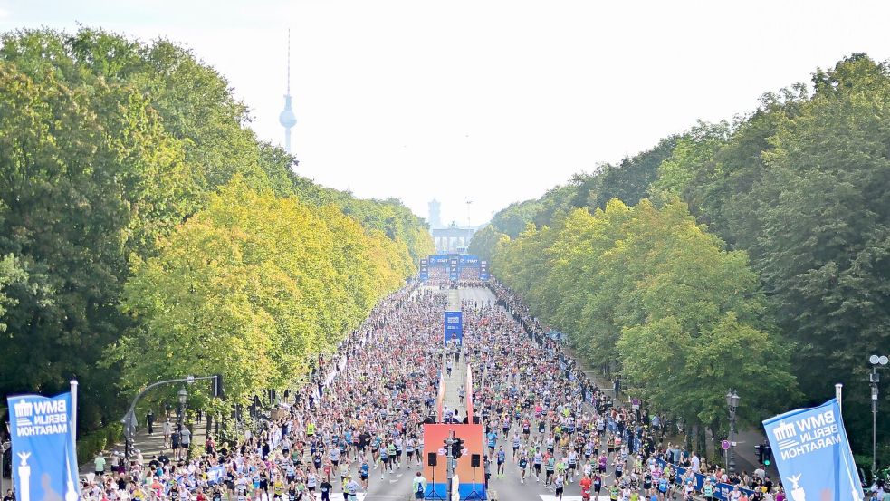Hunderttausende Läuferdaten aus Berlin flossen in die aktuelle Studie ein. Foto: Sebastian Christoph Gollnow