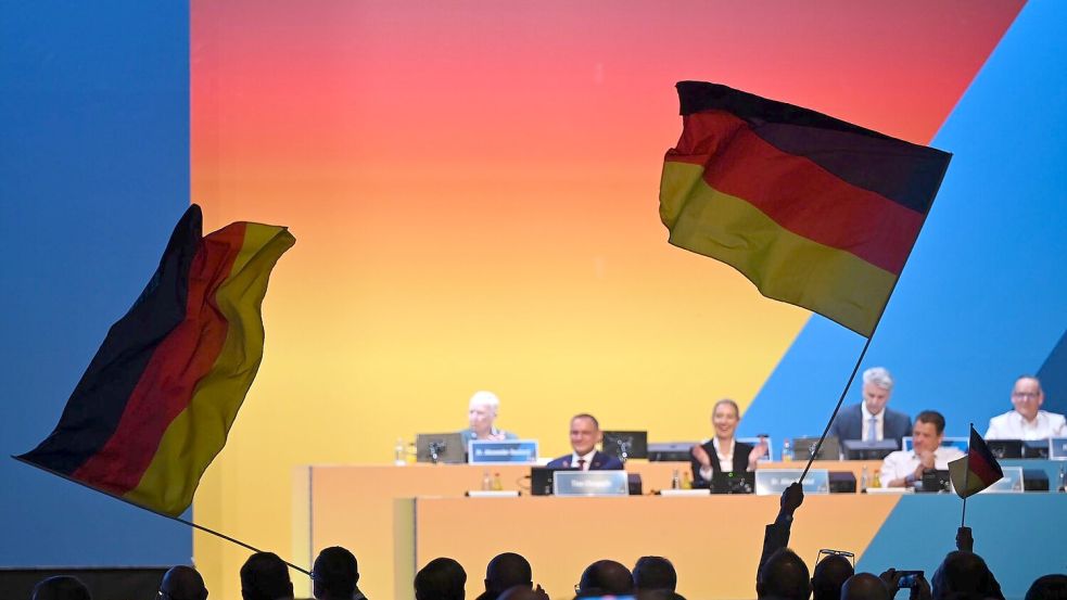 Parteichefin Weidel rief ihre Partei unter großem Jubel dazu auf, „das gesamte Land“ in Schwarz-Rot-Gold zu tauchen. Foto: Katharina Kausche/dpa