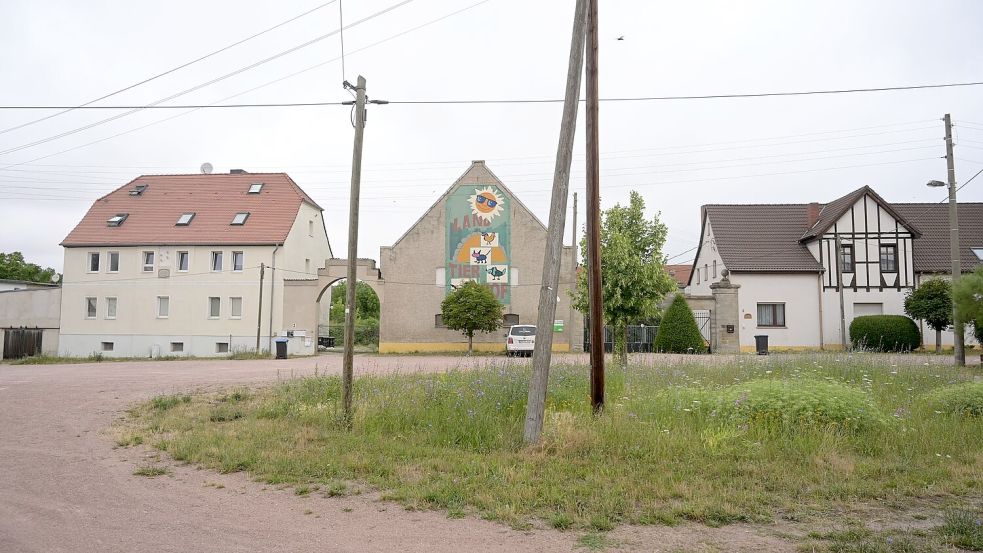 Das vier Jahre alte Mädchen war am Mittwochnachmittag von dem Familienhund im Ortsteil Drosa in der Gemeinde Osternienburger Land attackiert worden. Foto: Heiko Rebsch/dpa