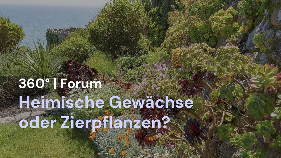 Im „360° | Das Forum“ besprach Redakteurin Julia Kuhlmann mit der Community, welche Gewächse in einen ökologischen Garten gehören. Foto: Eva Kowalski und IMAGO / imagebroker