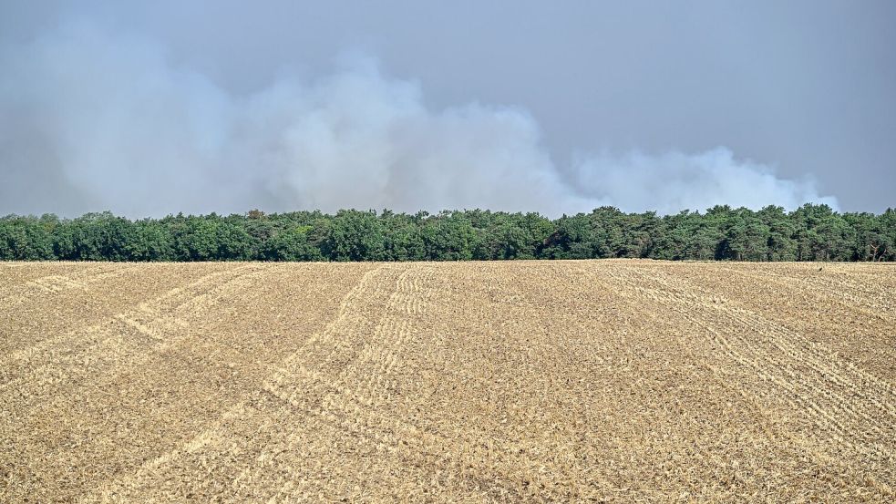 Möglicherweise ist der Brand im Wald von Fontainebleau absichtlich gelegt worden. Foto: Emma Da Silva