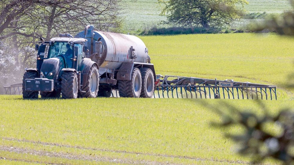Unter anderem durch Gülle gelangt Nitrat in den Boden. (Symbolbild) Foto: Jens Büttner