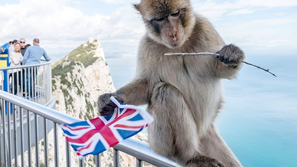 Berühmt für seinen Affenfelsen – und als diplomatischer Zankapfel: Seit mehr als 200 Jahren steht Gibraltar unter britischer Kontrolle, zum Ärger Spaniens. Foto: dpa/Frank Rumpenhorst