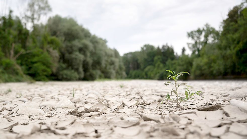 Auch die Schweiz hat mit Wassermangel zu kämpfen. Foto: Anthony Anex/KEYSTONE/dpa