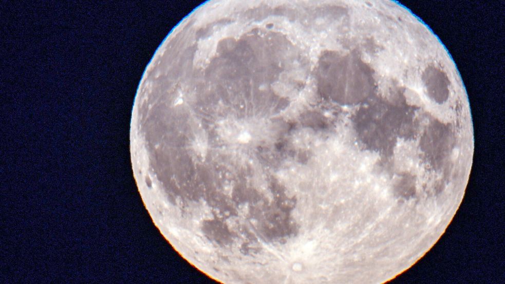 Der Mond scheint hell, weil er von der Sonne angestrahlt wird. Daran orientieren sich etwa Tiere bei Nacht auf der Erde. Foto: Jens Büttner