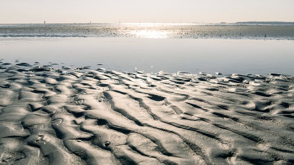 Im norddeutschen Wattenmeer sind Ebbe und Flut und damit der Einfluss des Mondes deutlich spürbar. Foto: Mohssen Assanimoghaddam
