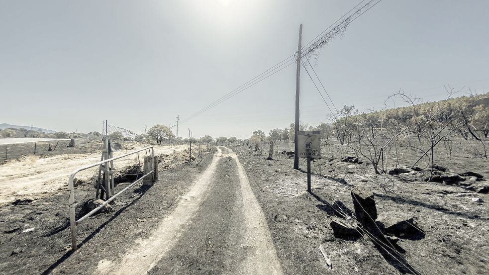 Waldbrände haben in Spanien in diesem Jahr bereits riesige Flächen zerstört (Archivbild). Foto: Ricardo Rubio/Europa Press/dpa