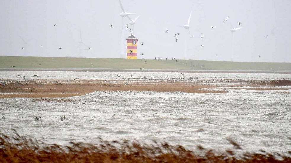 An diesem Mittwoch wird es stürmisch über Ostfriesland. Symbolfoto: Archiv