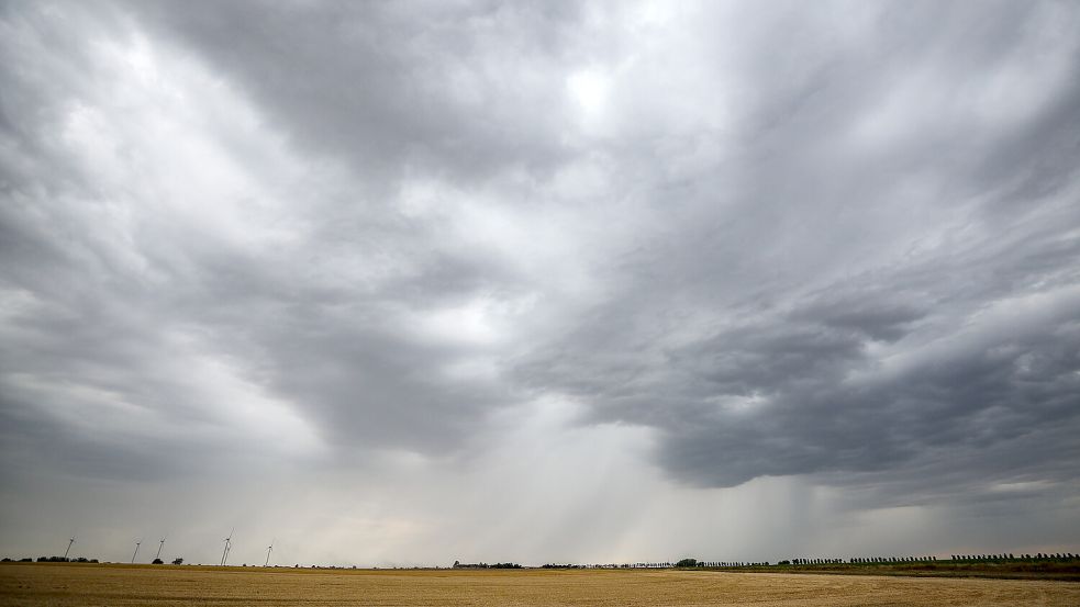Eine Regenfront zieht über ein Getreidefeld hinweg. An diesem Mittwoch wird es stürmisch über Ostfriesland. Foto: Jan Woitas/dpa