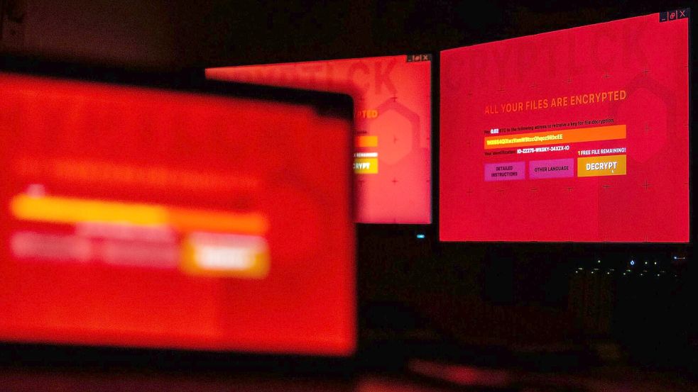 Die Bundesregierung hat ein umfassendes Programm zur Steigerung der Cybersicherheit beschlossen. (Symbolbild) Foto: Lino Mirgeler