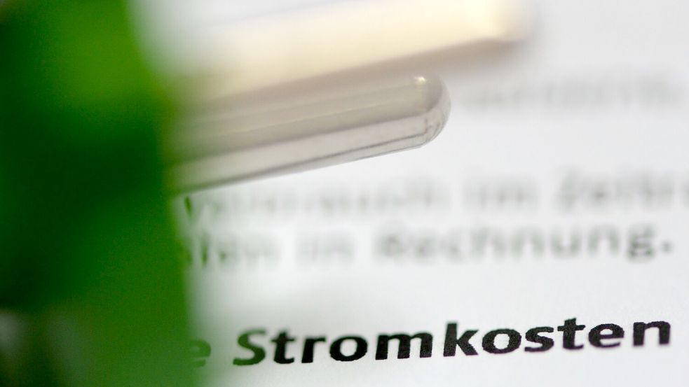 Netzentgelte und Stromsteuer sind wesentliche Bestandteile des Strompreises. Foto: Jens Kalaene