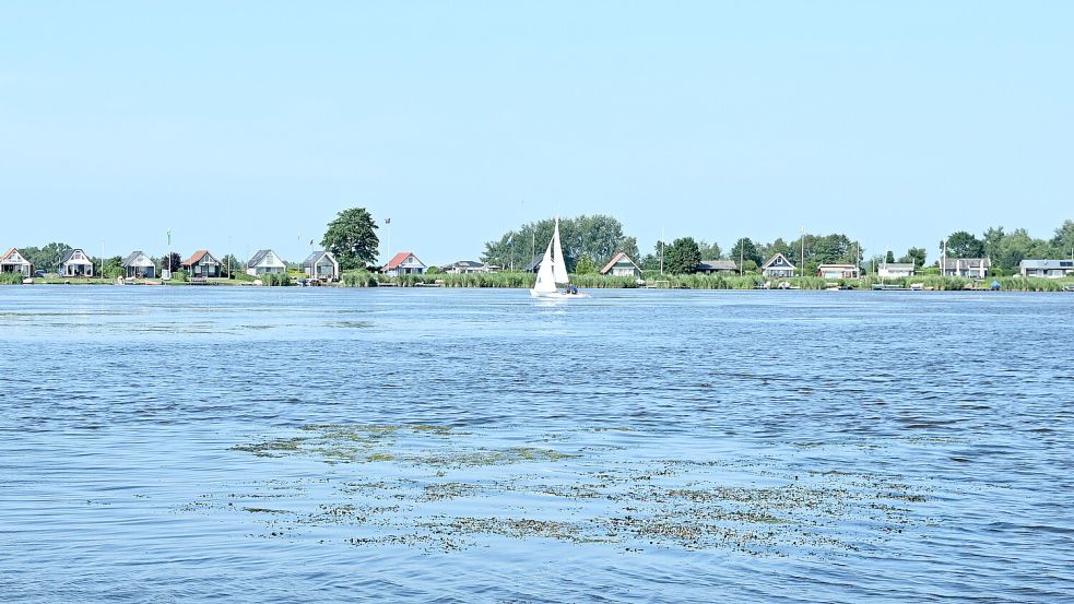 Die Wasserpflanzen (vorne im Bild) auf dem Kleinen Meer trüben das Segelvergnügen, sagen die Wassersportler. Fotos: Heinz Wagenaar