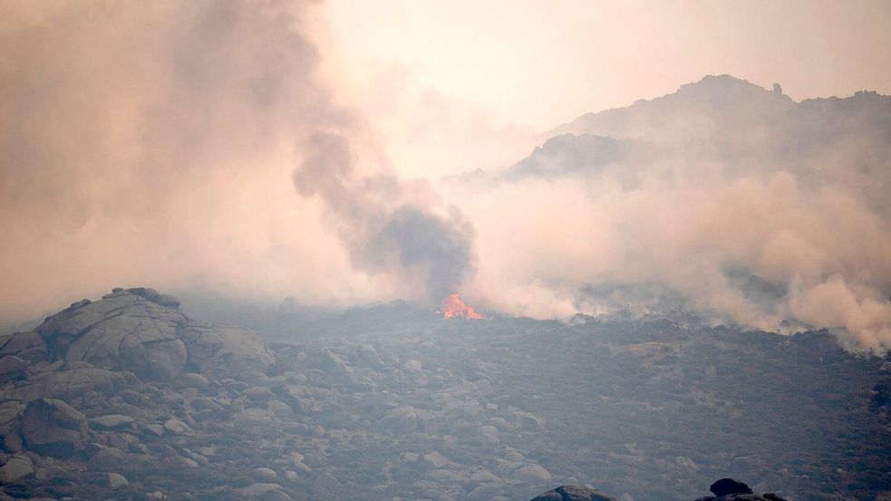 Die wesentliche Gesundheitsgefährdung bei einem Waldbrand entsteht durch die Feinstaubbelastung, sagt das Umweltbundesamt. Foto: Alberto Ortega/EUROPA PRESS/dpa