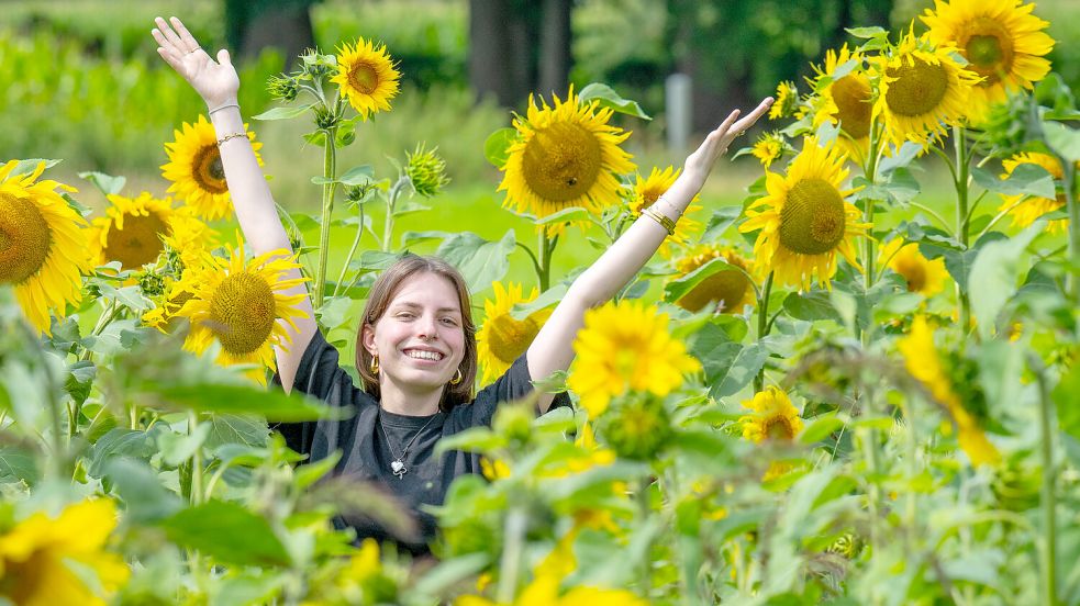 Am Mittwoch und Donnerstag gilt in Ostfriesland: Sommer, Sonne, Sonnenschein. Foto: Klaus Ortgies