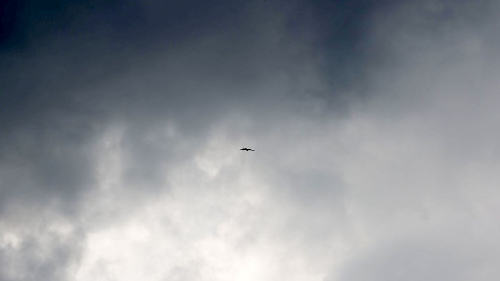 Der Südosten Brasiliens wurde vom Windsturm stark betroffen. (Symbolbild) Foto: Rolf Vennenbernd