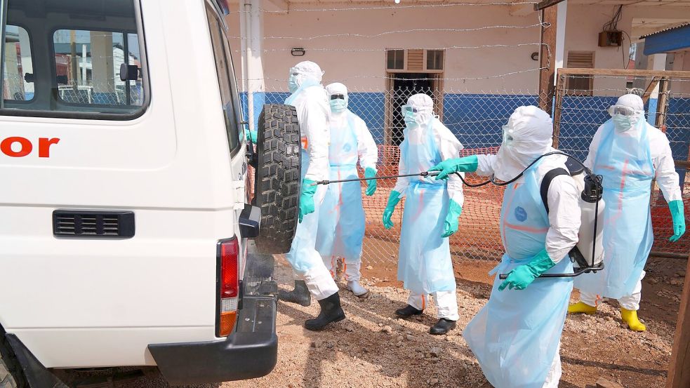Experten vermuten, dass sich das Virus monatelang vor dem Nachweis des Ausbruchs Mitte Mai ausbreitete. Foto: Dirole Lotsima Dieudonne
