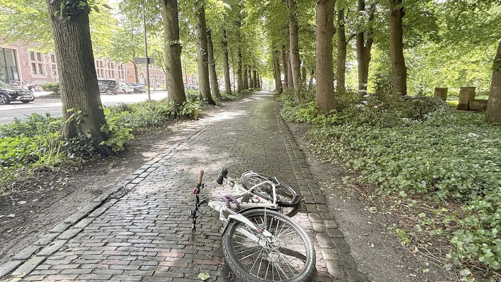 Immer wieder stürzen Fahrradfahrer am Alten Friedhof in Norden. Foto: Rebecca Kresse