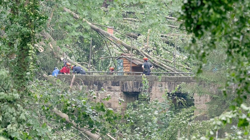 Bei einem Unwetter stürzten zalhreiche Bäume um. Foto: Sebastian Kahnert