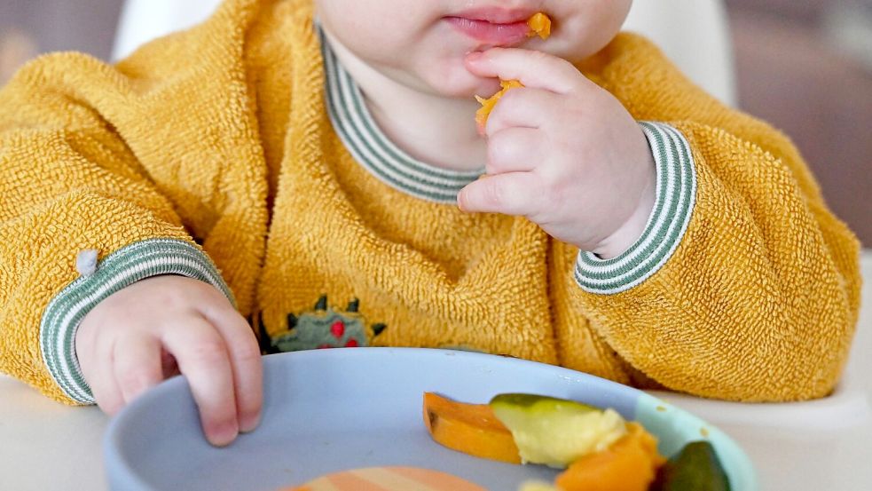 Erst ab sechs Monaten sollen Babys erste Beikost erhalten. (Archivbild) Foto: Elisa Schu/dpa