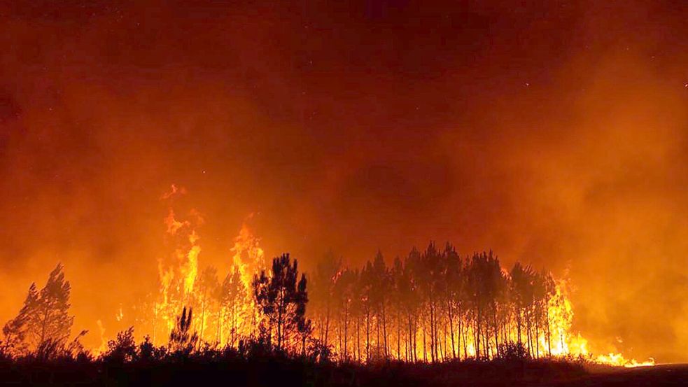 Der Wald steht in Flammen: Eine Aufnahme der Feuerwehr der Region Gironde SDIS 33 (Departementaler Feuerwehr- und Rettungsdienst 33) zeigt den Waldbrand in der Nähe von Saint-Magne. Foto: Uncredited/SDIS 33/AP/dpa