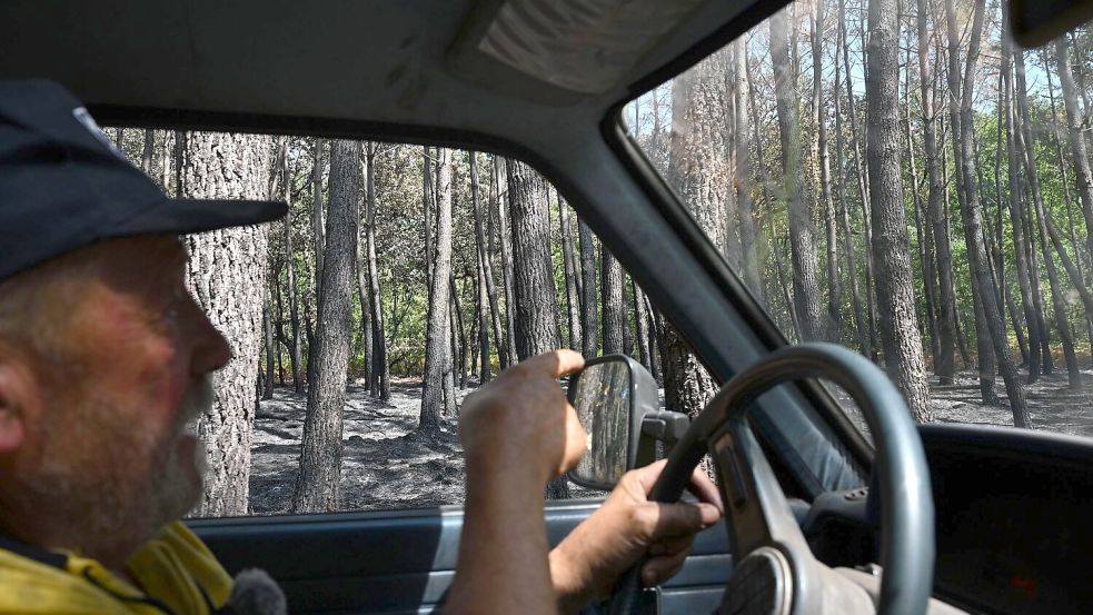 Ein Großteil seines Landes ist verbrannt, erzählt Waldbauer Monchaux. Foto: Katharina Kausche