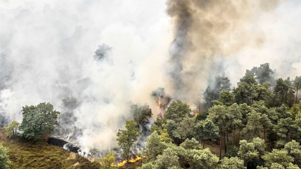 Rund 300 Einsatzkräfte kämpften in der Nacht gegen den Brand im Naturschutzgebiet. Foto: dpa/ANP/Rob Engelaar