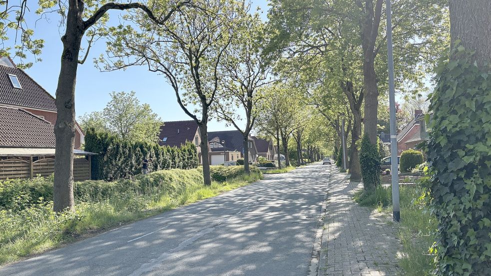 Die Hauptstraße in Larrelt wird im Herbst teilsaniert. Foto: Carla Ludwigs/Archiv