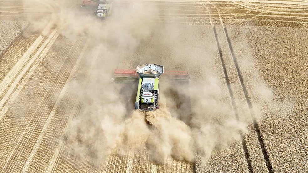 Hitze und Trockenheit schmälern die Ernte in Deutschland. (Symbolbild) Foto: Peter Gercke