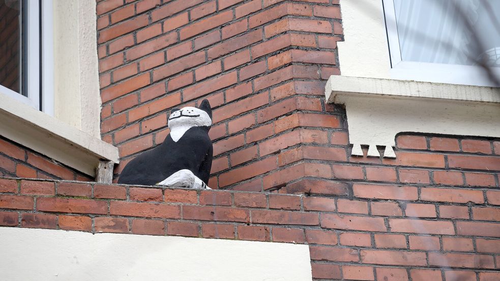 Diese „Hausbesetzer“ zieren das Auricher Stadtbild. Aber wo kommen sie eigentlich her? Foto: Klaus Ortgies