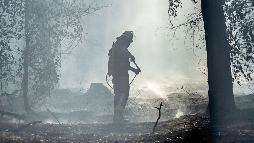 In dem betroffenen Waldgebiet bei Rodenbach stehen Nachlöscharbeiten an. Foto: Andreas Arnold