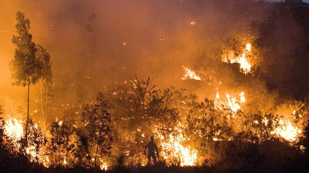 Wegen der Waldbrandgefahr durch Hunderttausende Sofi-Fans in ländlichen Gebieten sind die spanischen Behörden in höchster Alarmbereitschaft. Foto: Elena Fernández/EUROPA PRESS/dp