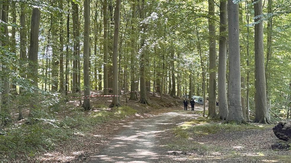 Der Torso wurde in einem Waldstück gefunden. Foto: Birgitta von Gyldenfeldt/dpa