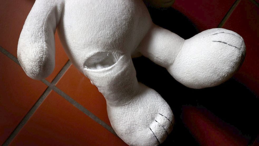 Mehr als die Hälfte der betroffenen Kinder war höchstens acht Jahre alt. (Symbolbild) Foto: Karl-Josef Hildenbrand