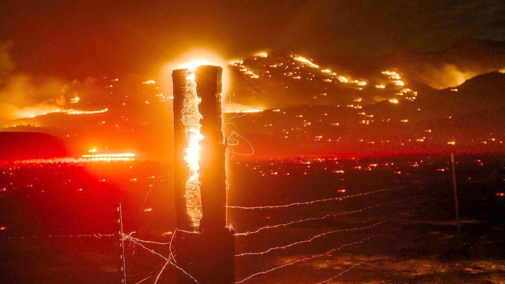 Zehntausende Hektar hat das Feuer zwischen Kalifornien und Nevada bereits erfasst. Foto: Noah Berger