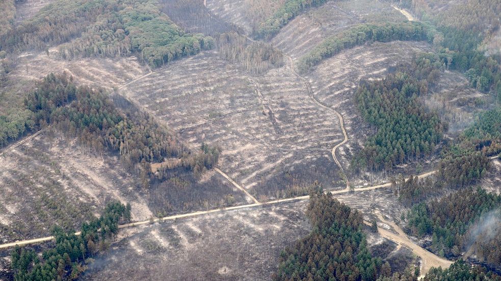 Die Aufnahme aus einem Flugzeug zeigt das Waldbrandgebiet im Hürtgenwald. Foto: Sascha Thelen