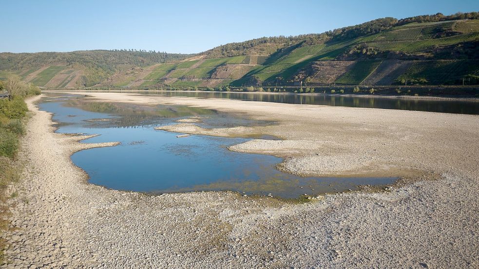 Das Niedrigwasser treibt die Transportkosten nach oben - auch am Bau Foto: Thomas Frey