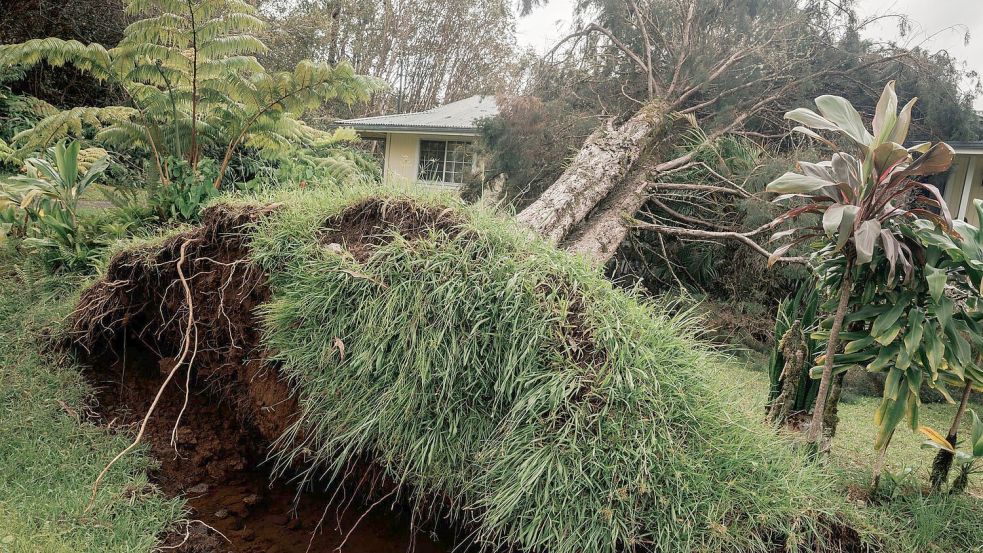 Hurrikan „Lala“ hat auf Hawaiis größter Insel Big Island schwere Schäden hinterlassen. Foto: Stephen Lam