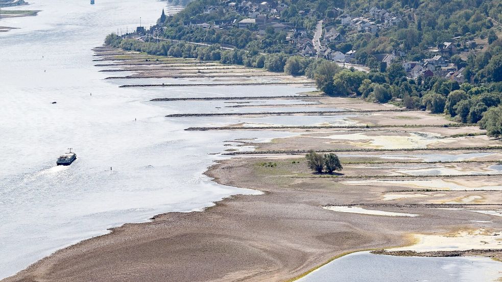 Folge des ungewöhnlich heißen Sommers: Der Rhein führt extrem wenig Wasser. Foto: Boris Roessler
