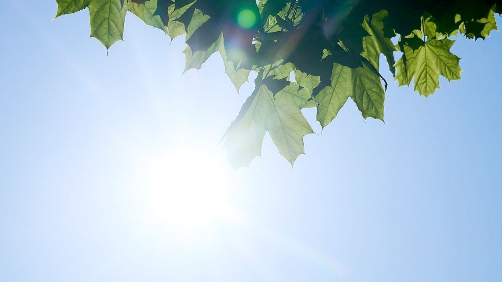 Hauptgrund für die Entwicklung sind laut Forschern weniger Wolken. (Symbolbild) Foto: Annette Riedl