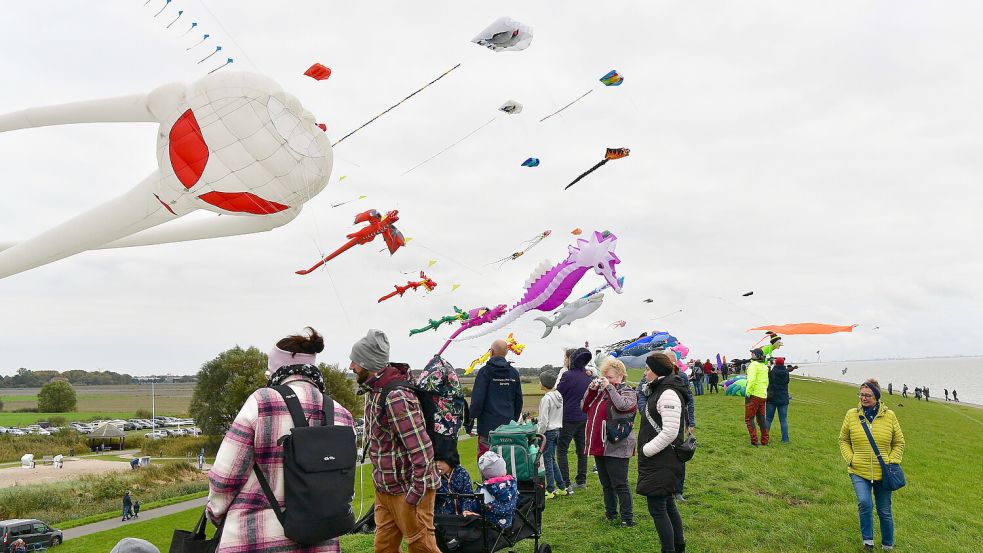 Das Drachenfest in Upleward (hier 2025) zieht jedes Jahr viele Besucherinnen und Besucher an. Foto: Heinz Wagenaar/Archiv