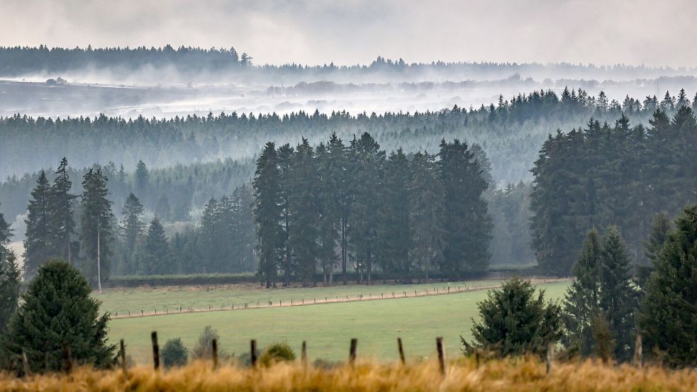 Regen hilft, auffrischender Wind ist ungünstig. Foto: Oliver Berg