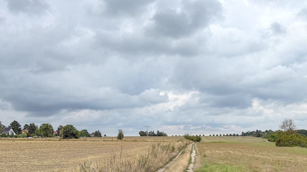 Dunkle Wolken und Gewitter ziehen nach der Vorhersage des Deutschen Wetterdiensts aus Westen heran. (Archivbild) Foto: Jan Woitas
